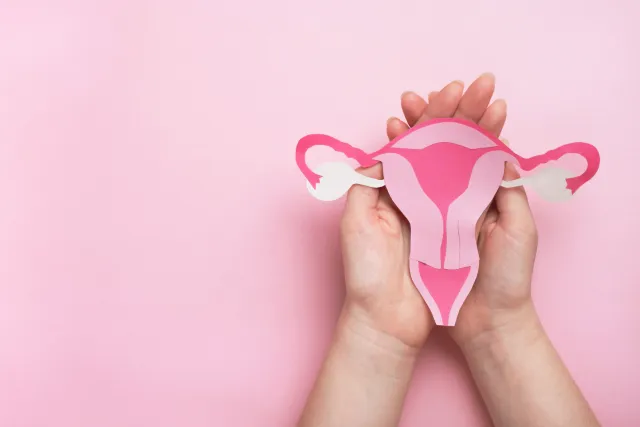 Fizjoterapia uroginekologiczna - jak wyglądają szkolenia z fizjoterapii uroginekologicznej? Na czym polega badanie? Wskazania do wizyty.